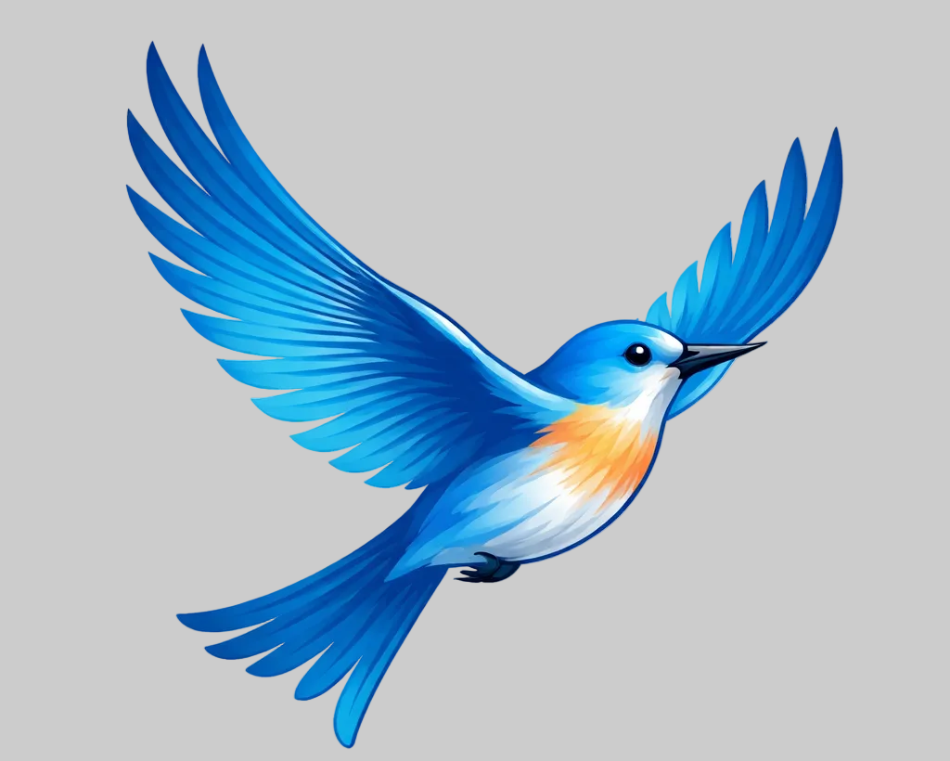 Blue bird with orange chest on a white background